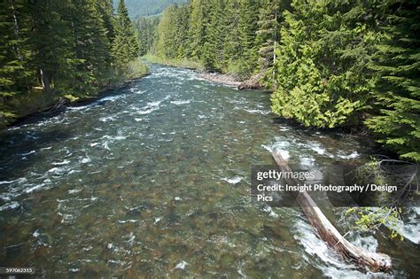 Image result for Portable Spring Testing Instruments