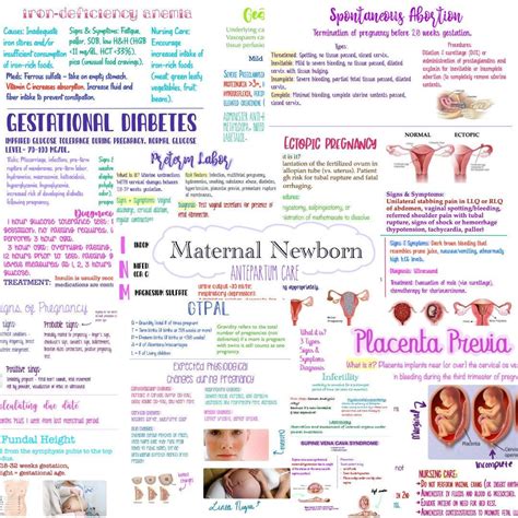 Maternal Newborn OB Antepartum Nursing Notes by NurseNotesByJessenia on ...