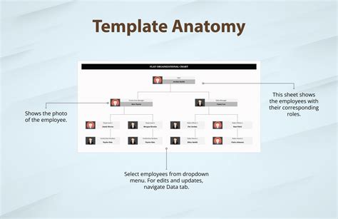 Image result for Simple Organization