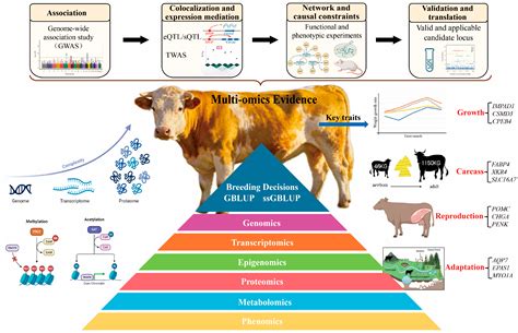 Omics Evidence Chains for Complex Traits in Beef Cattle: From Cross ...
