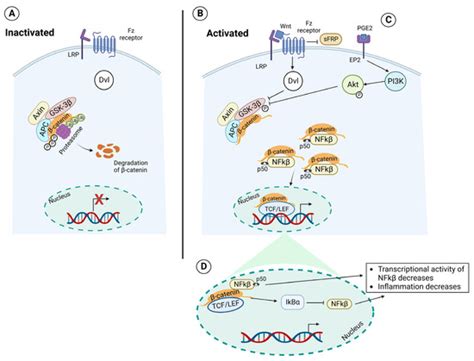 PGE2 Produced by Exogenous MSCs Promotes Immunoregulation in ARDS ...