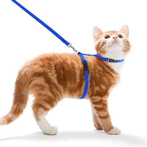 Futurekart Cat Harness Leash Nylon Set for Cat Rabbit Kitten and Small ...