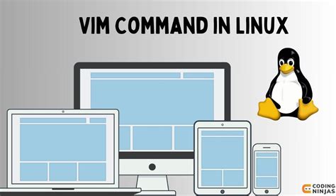 Image result for Vim GUI for Linux
