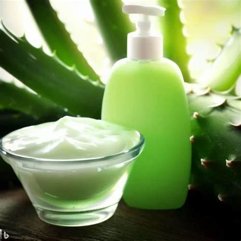 Hair Care Products - Aloe Vera Shampoo Manufacturer from Kolhapur