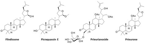 Insights into the Mechanism of Action of the Degraded Limonoid Prieurianin