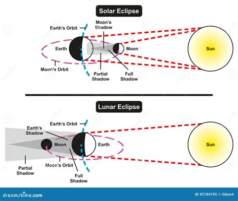 Solar & Lunar Eclipses Diagrams Vector Illustration | CartoonDealer.com ...