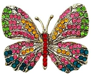 Buy FURE Metal Scintillating Butterfly Brooch (Multicolour) for Men ...