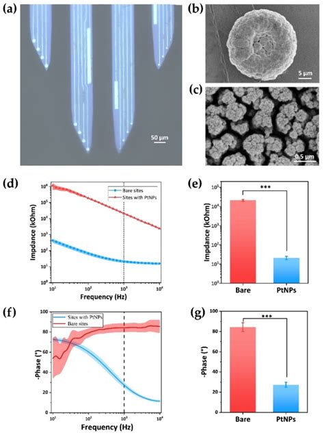 Neuronal Electrophysiological Activities Detection of Defense Behaviors ...