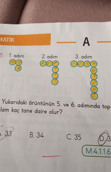 5. 1. adım 2. adım A. 33 Yukarıdaki örüntünün 5. ve 6. adımında top ...