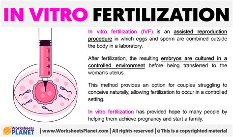 Image result for In Vitro Reproduction