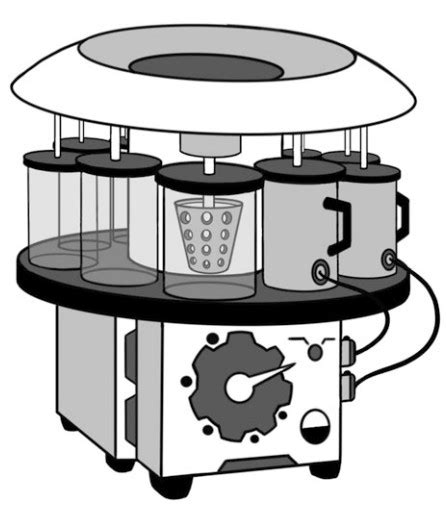 Tissue Processing Protocol 的图像结果