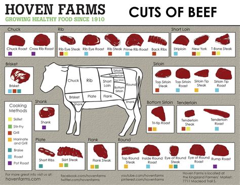 Steak Guide | Beef cuts, Beef cuts chart, Meat cuts