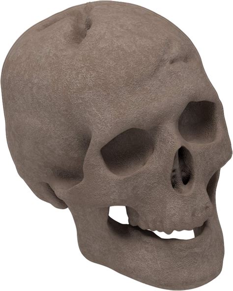 Buy Regal Flame Human Skull Ceramic Wood Large Gas Fireplace Logs Logs ...