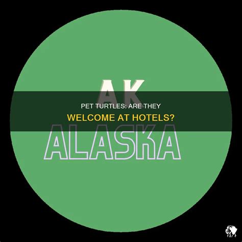 Pet Turtles: Are They Welcome At Hotels? | PetShun