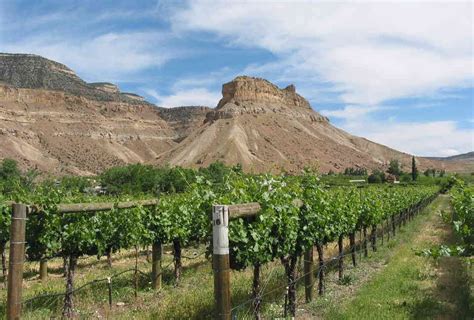 Palisades Campground Montana: Reservations & Amenities