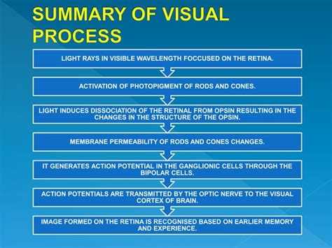 Image result for How Does Vision Work