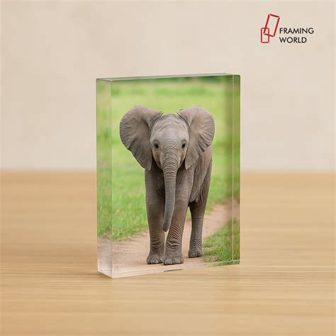 Mini acrylic printing – Framing World