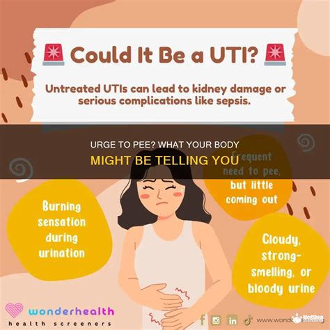 Urge To Pee? What Your Body Might Be Telling You | MedShun