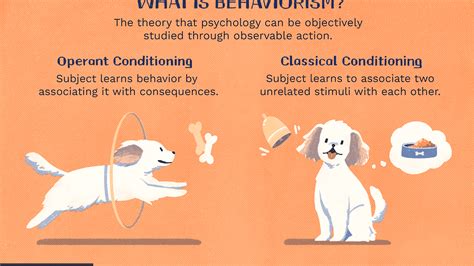 Operant Conditioning Exercises 的图像结果