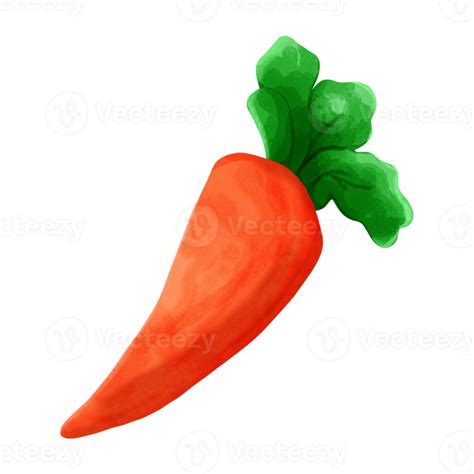 Image result for Delocious Shell