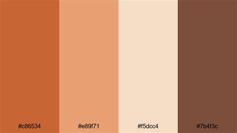 The Best 15 Rust Orange Color Palette Ideas for Video & Design