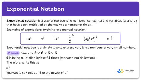 Exponential Numbers 的图像结果