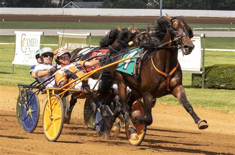 Red Mile set for Bluegrass Stakes - Harnesslink