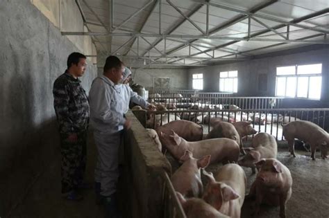 习水：生猪家庭农场敲开致富门,德康集团