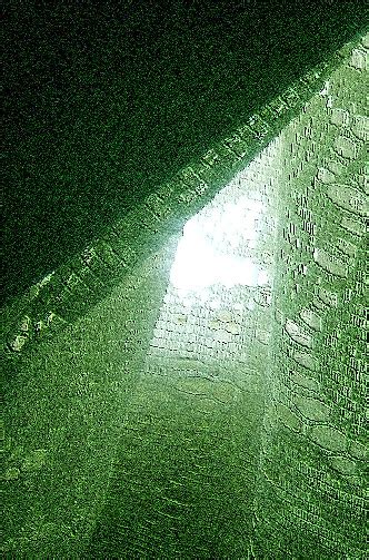 Image result for Angelic Encounters