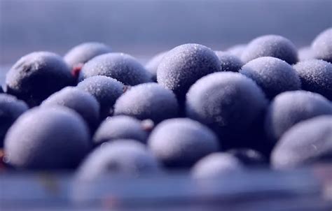 Wallpapers macro on mobile and desktop