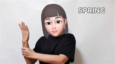 Image result for Spring ASL