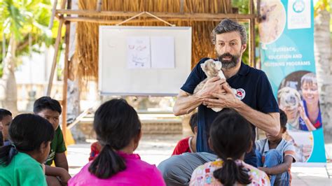 Information for Tourism Industry - #ProtectMillions – a FOUR PAWS campaign