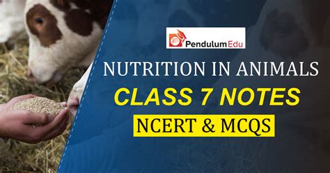 Image result for Class 7th Science Chapter 2