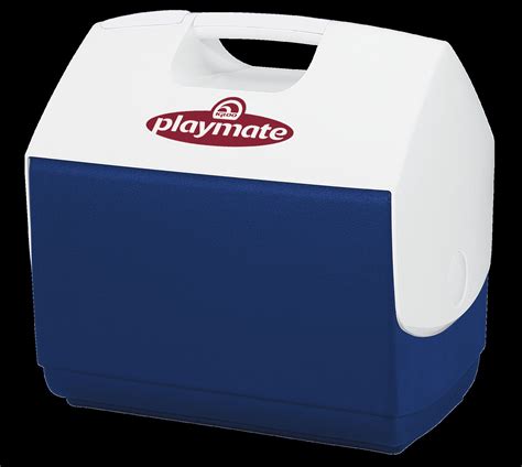 Igloo 17 Qt. Playmate Elite Cooler & Reviews | Wayfair | Cooler, Igloo ...