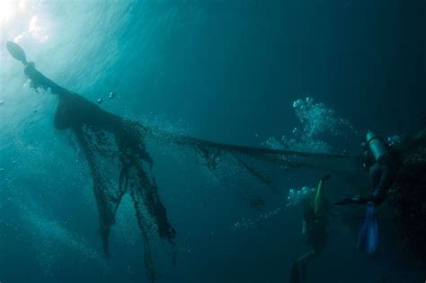 Endangerment from marine debris