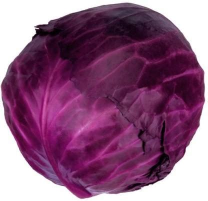 ALPINE HYBRID SEEDS PATTA GOBI (LAL) Seed Price in India - Buy ALPINE ...