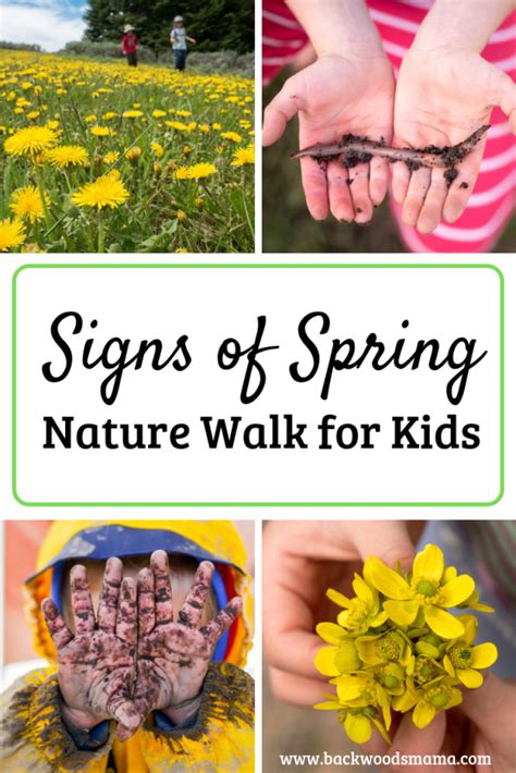 Image result for Spring Fun Walk