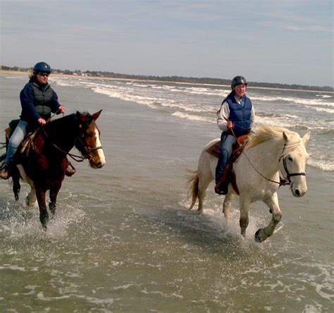 CAROUSEL HORSE FARM (2025) All You Need to Know BEFORE You Go (with ...