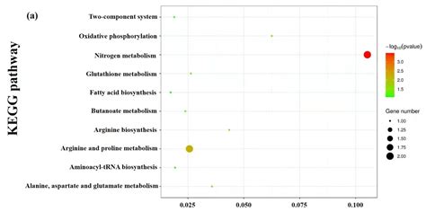Untargeted Metabolomics on Skin Mucus Extract of Channa argus against ...