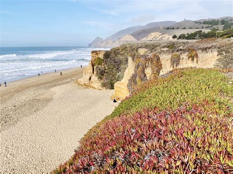 All The Best Beaches in Half Moon Bay: The Bay Area’s Favorite Coastline