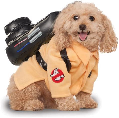 25 Best Dog Halloween Costumes of 2024