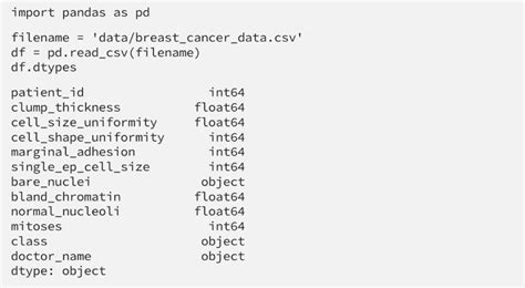 Image result for Pandas Data Types