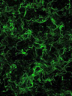 Download wallpaper 240x320 stains, green, background, abstraction old ...