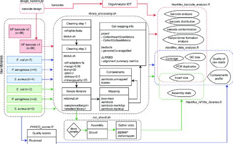 Image result for Library Processing