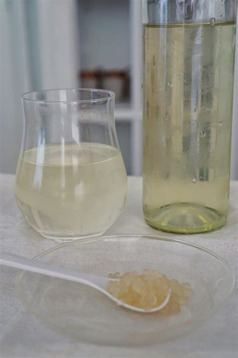 Coconut Water Kefir
