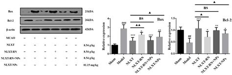 Isolation and Characterization of Natural Nanoparticles in Naoluo ...