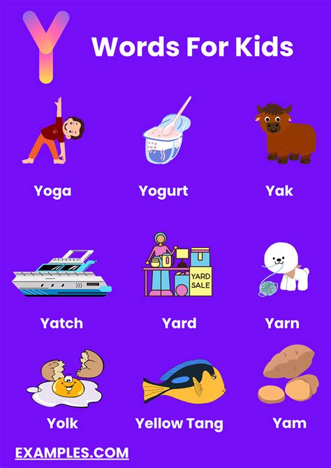 450+ Y Words List, Meaning, PDF