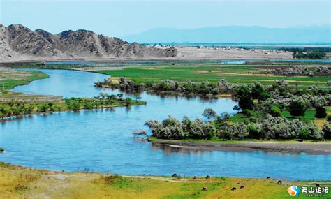 新疆河流图影