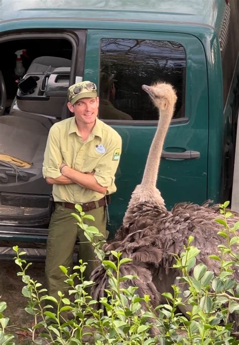 An introvert’s guide to Savor the Savanna at Disney’s Animal Kingdom ...