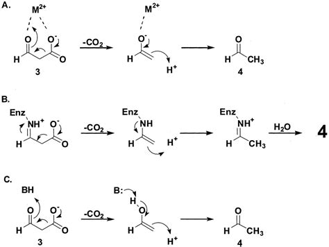 Image result for Essential Simple Process